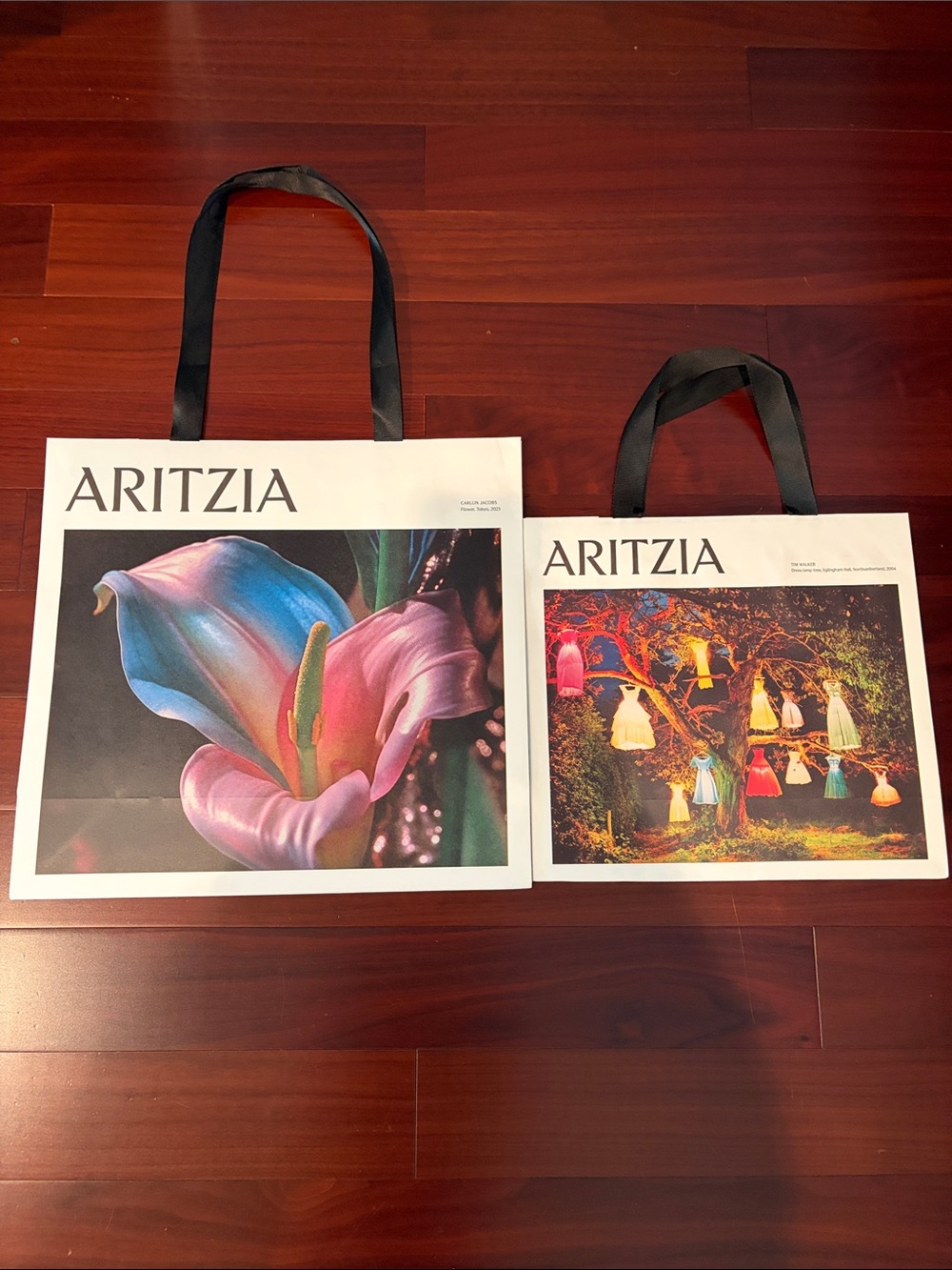 2 Aritzia paper shopping bags